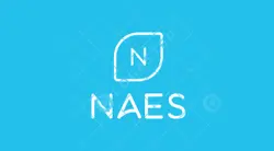 Naes